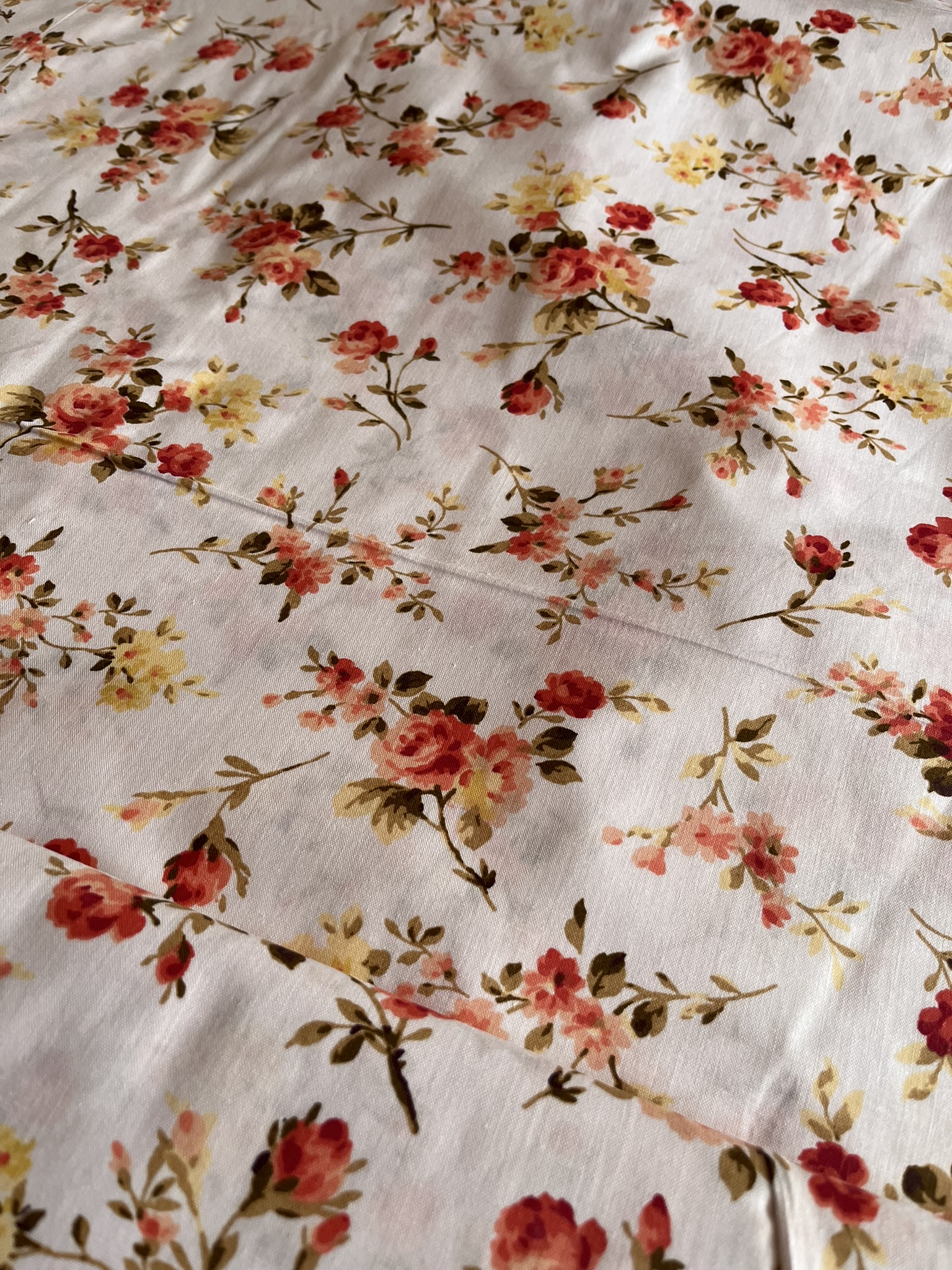 Plátno bavlněné Pnoucí růže